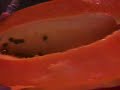 Papaya (Raw) Nutrition Facts:There's Protein In Papaya?