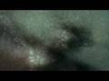 Thomas Feiner & Anywhen - The Siren Songs