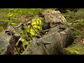 Imagevideo Arberland im Bayerischen Wald