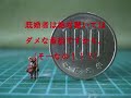 「ありとあらゆる贅沢は・�...