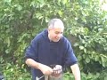 How to Cook Lamb