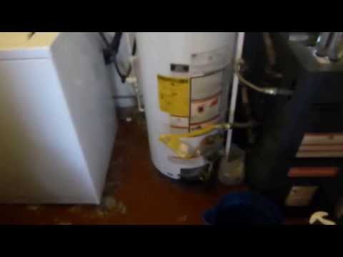 ericjpifer -