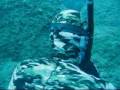 Moneglia 2008 Freediving