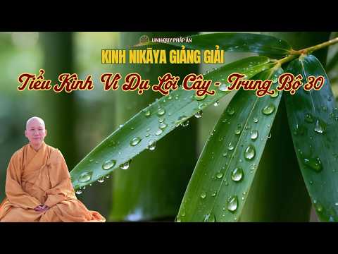 NIKAYA Giảng Giải - Tiểu Kinh Ví Dụ Lõi Cây - Trung Bộ 30