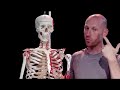 yoga anatomy - YogAnatomy - Short Trailer http://www.yoganatomy.com