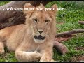 Só por você/ Música de Marina Elali Só por você/ Música de Marina Elali