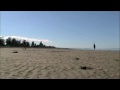 Summer frisbee on Vancouver Island