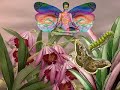Faery Fae Magik and Sacred Sites in the UK