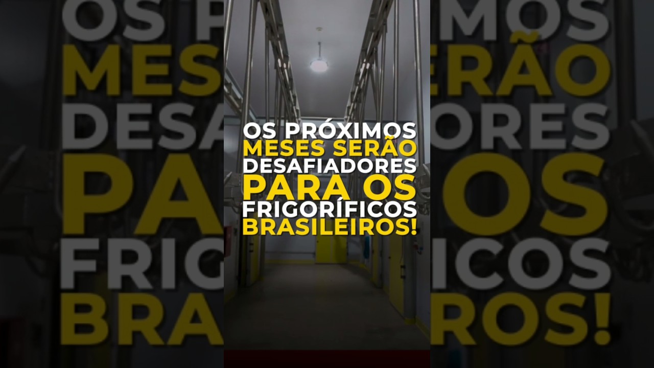 OS PRÓXIMOS MESES SERÃO DESAFIADORES PARA OS FRIGORÍFICOS BRASILEIROS!