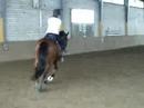 wiili und ich1