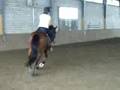 wiili und ich1
