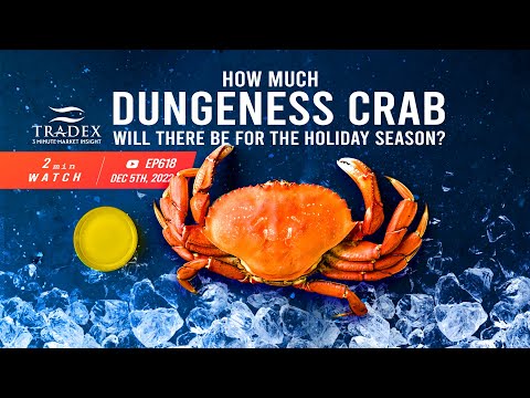 3MMI - Dungeness Crab: How Much will there be for the Holiday Season?