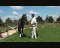 recompense baloubet