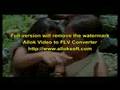  - MovieZen Video