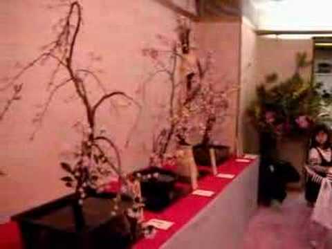 yushimaの生け花
