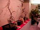 ikebana at yushima