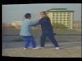 Wei ShuRen：Yang Style Taji - 