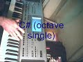 THRILLER WITH A KORG PA50 THRILLER WITH A KORG PA50