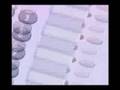 Metodologia Organizacional - Novos Modelos Organizacionais
