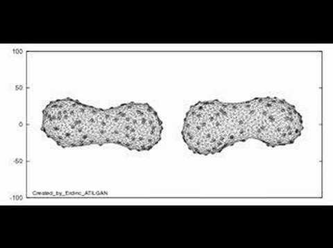 fission