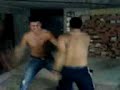 to xilo tis arkoudas