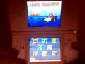 DS Lite Pink running FlashMe V.7 DS Lite Pink running FlashMe V.7