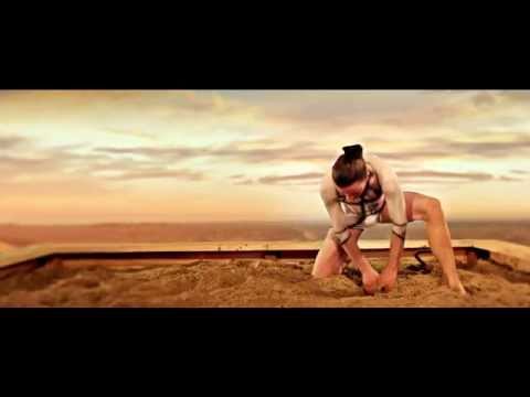 ZircuS: Gold In The Ground