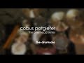 cobus   drumsolo  from the overhead series 