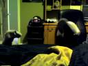 will dove doin the freaky deaky to cody\ will dove doin the freaky deaky to cody\