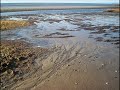 We Learned the Sea We Learned the Sea