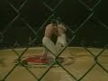 Kyokushin vs Taekwondo Kyokushin vs Taekwondo
