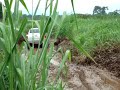 Hilux T