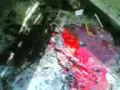 Footage from the scene of Islamabad blast - 20 Oct 09