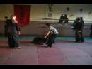 aiki-kung-jutsu