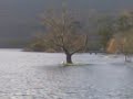 Killarney Golf Club Flooding Dec 2009