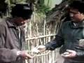 Child Labor In Nepal