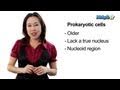 Learn Biology: Cells—Prokaryotic Cells vs. Eukaryotic Cells