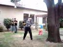 Thurber VS. Pinata