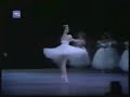 aurora bosch: reina de willis