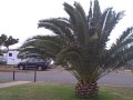 Adelaide's Beautiful Weather