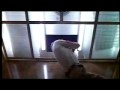 Dawn of the Dead - Dawn of the Dead - Flixster Video
