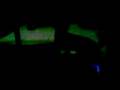 videos de catprincess08