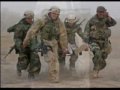 اسود العراق يدافعون عن ارضهم ووطنهمiraq iraqi resistance defending their land