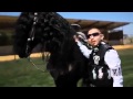 Gabriel Silva Guerrero Enamorado Video and Lyrics