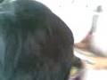 videos de Upik & Si Wik (2)