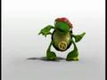 cool turtle