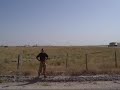VERY low Harrier ("I won't flinch..")