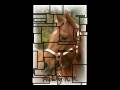 videos de Bieke tribute 3.wmv