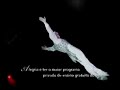 Bradesco Cirque du Soleil 