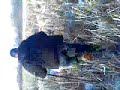kevin falls in agian kevin falls in agian